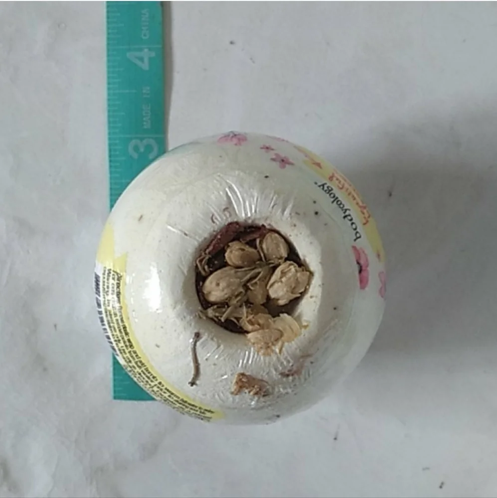 NWT bodycology beautiful blossoms petal bath bombs